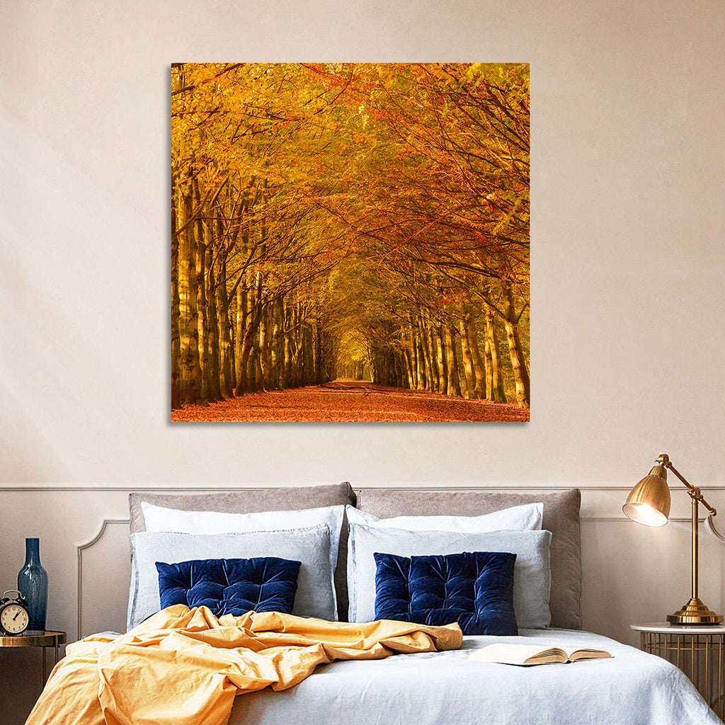 Golden Beech Tree Tunnel in Autumn Wall Art