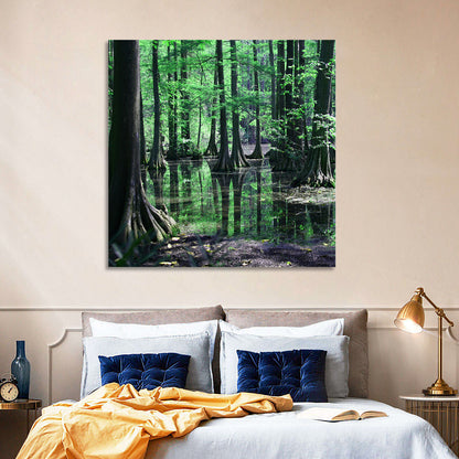 Congaree Swamp Columbia Wall Art