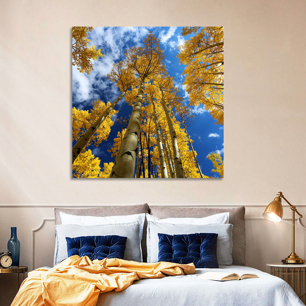 Golden Aspen Canopy View Wall Art