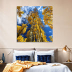 Golden Aspen Canopy View Wall Art