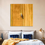 Aerial Wheat Harvest Wall Art