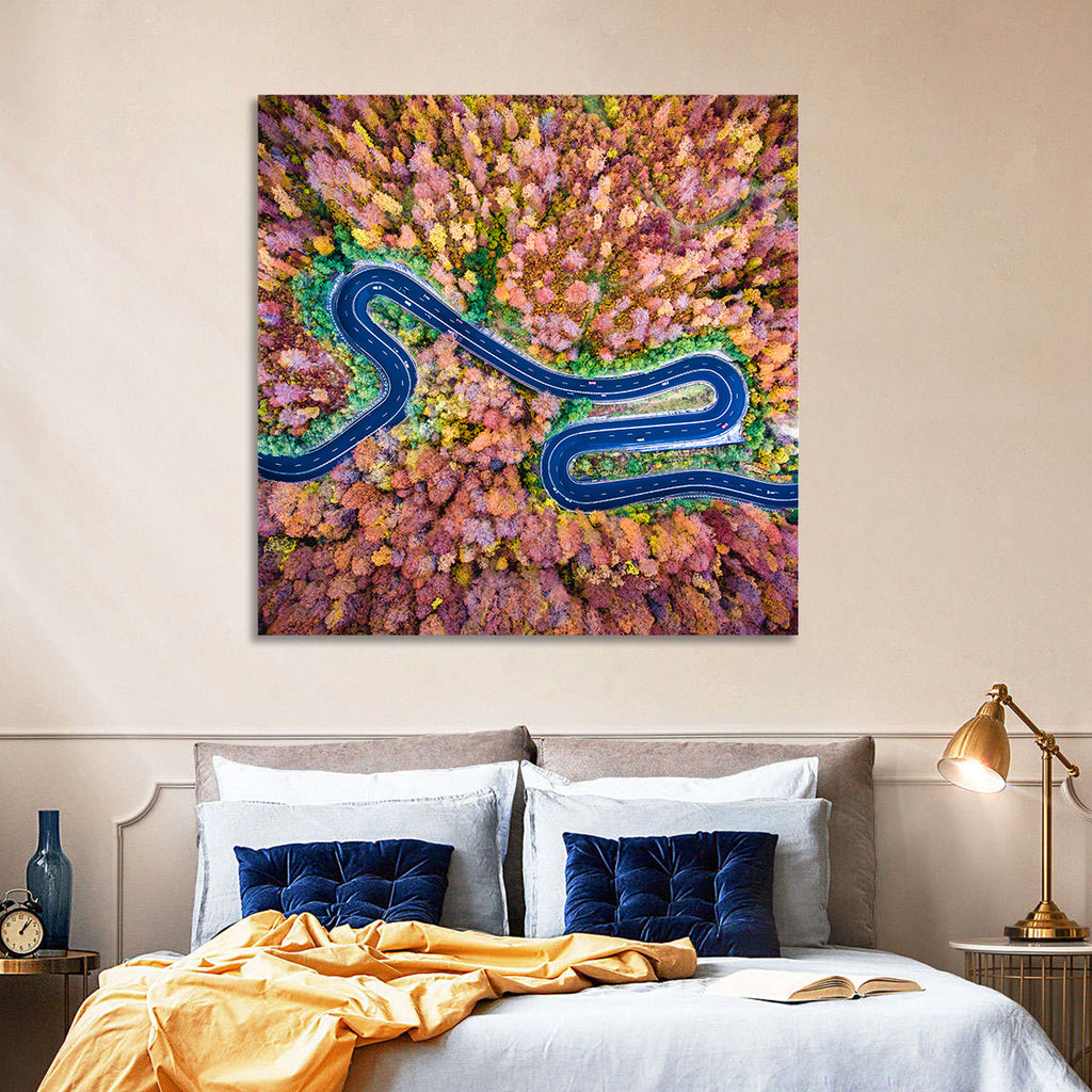 Aerial Winding Road Wall Art
