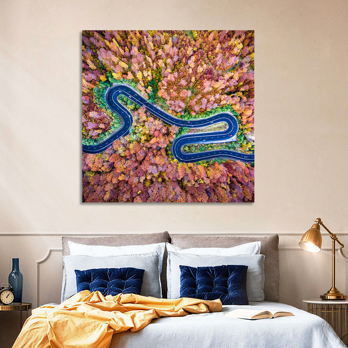 Aerial Winding Road Wall Art in a room, square