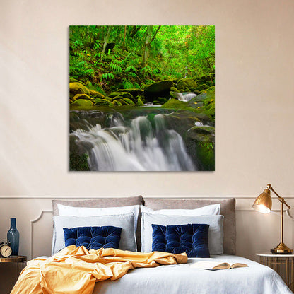 Forest Stream Wall Art