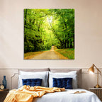 Sunlit Forest Pathway Wall Art