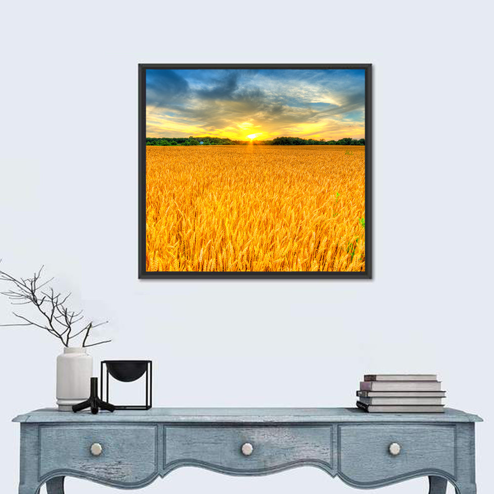 Wheat Field Sunset Wall Art in a room, square