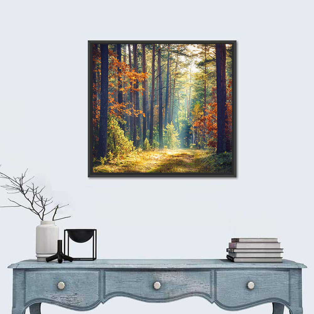 Sunlit Autumn Pine Forest Wall Art