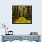Yellow Brick Path Through Redwoods Wall Art