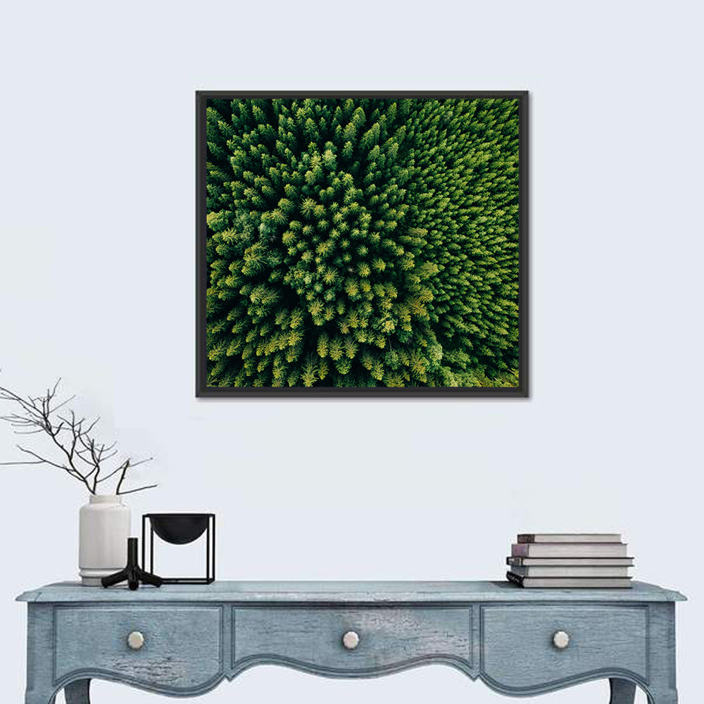 Aerial Conifer Canopy Wall Art in a room, square