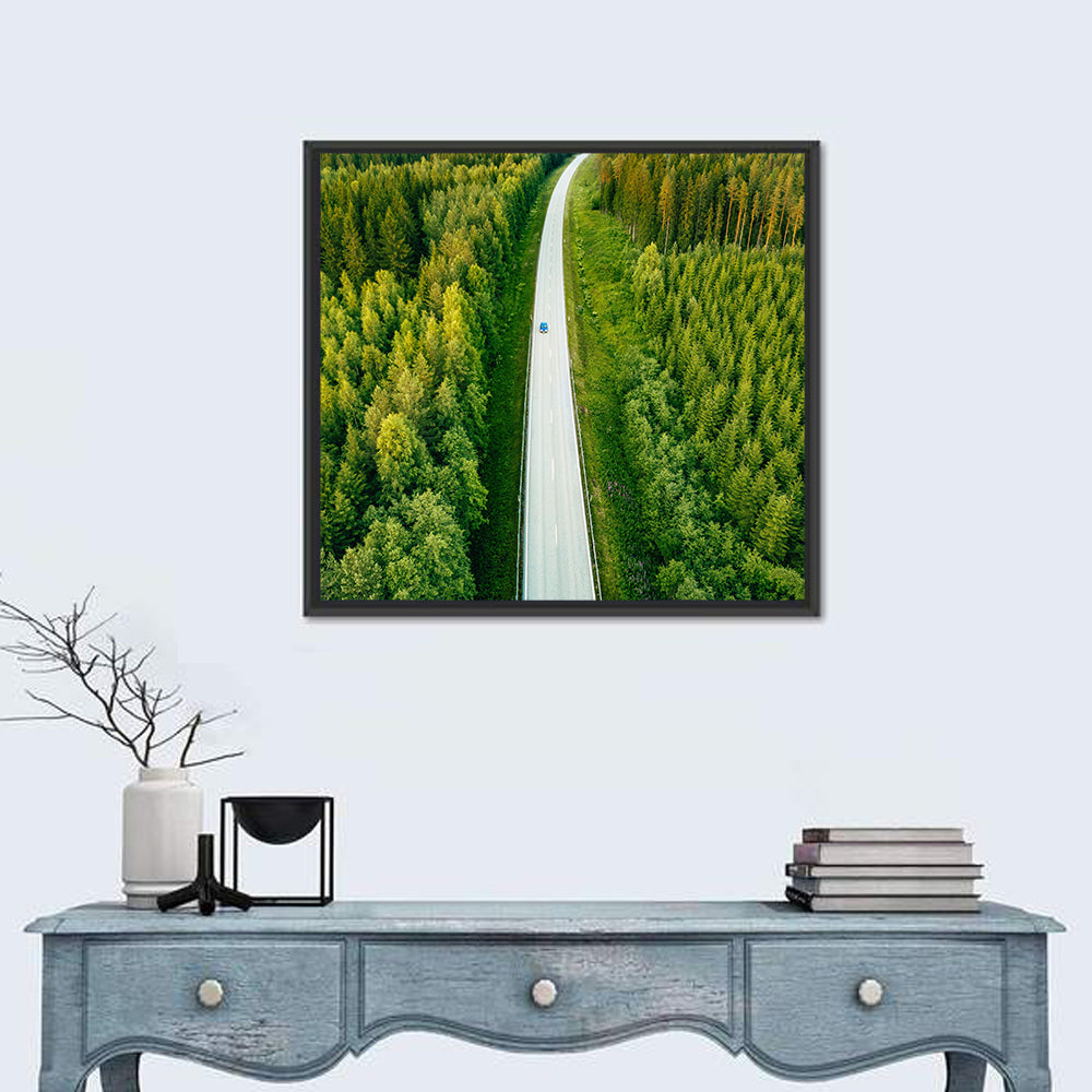 Road Through Forest Wall Art