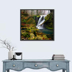 Cheile Nerei Mossy Waterfall Wall Art