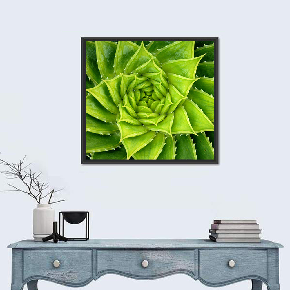 Spiral Aloe Succulent Wall Art in a room, square