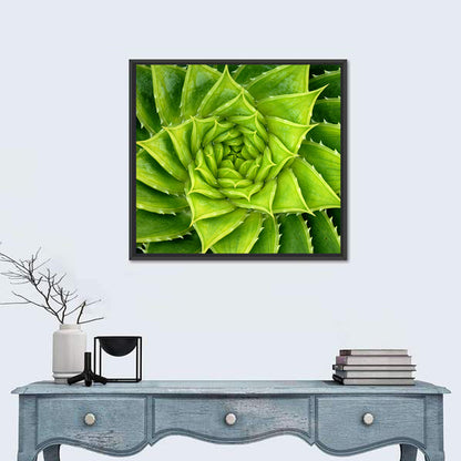 Spiral Aloe Wall Art