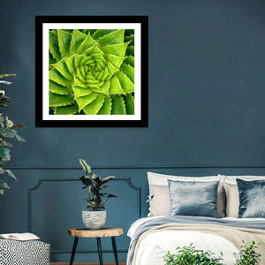 Spiral Aloe Wall Art