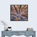 Misty Forest Canopy Wall Art