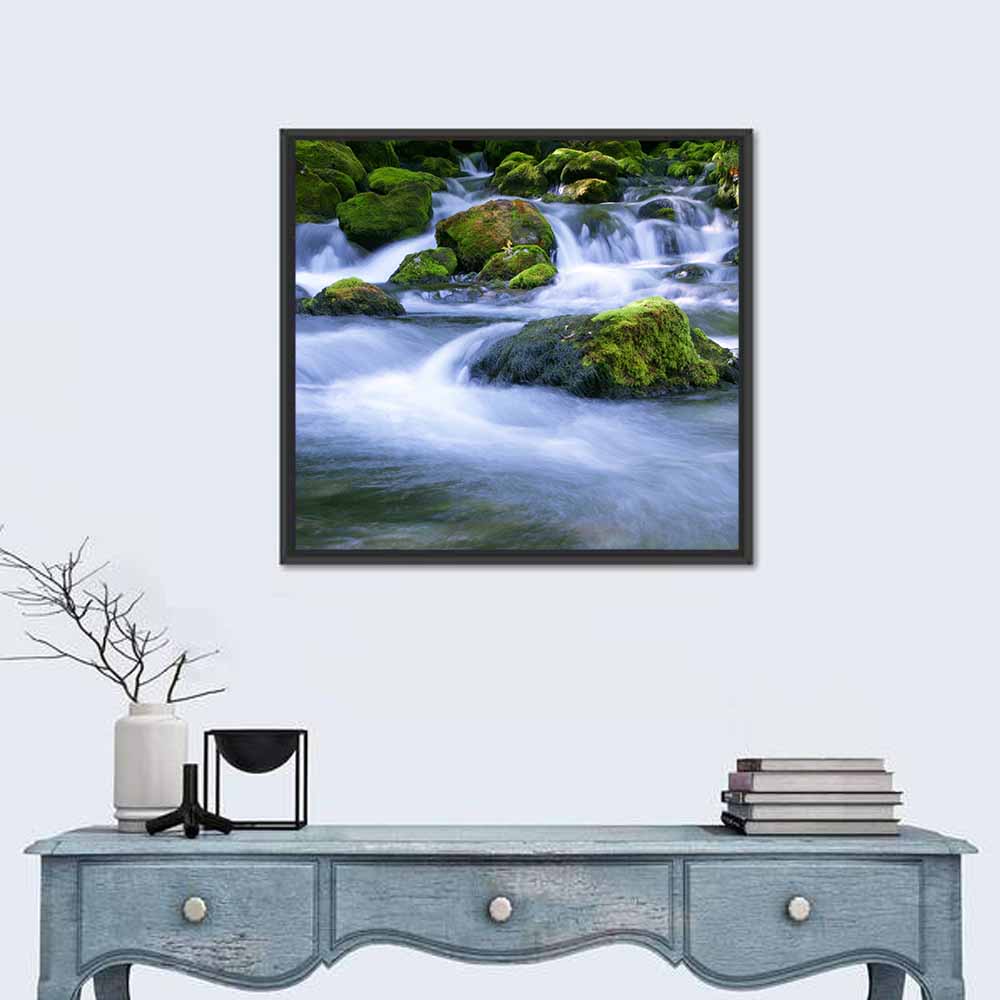 Mossy Forest Stream Wall Art in a room, square