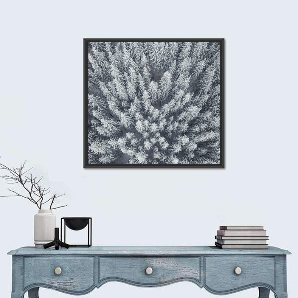 Snow Covered Pine Forest Wall Art in a room, square