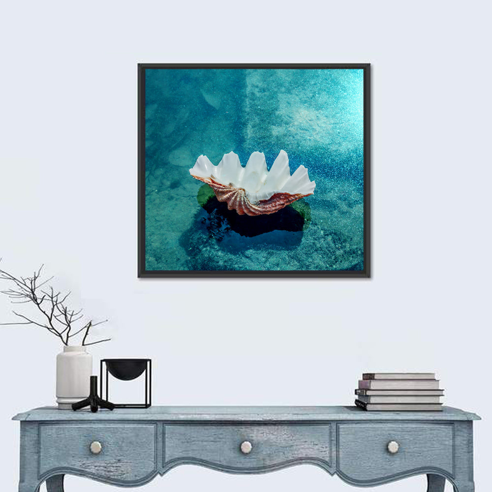 Giant Clam Shell Wall Art