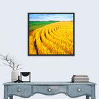 Summer Wheat Field with Curved Paths Wall Art
