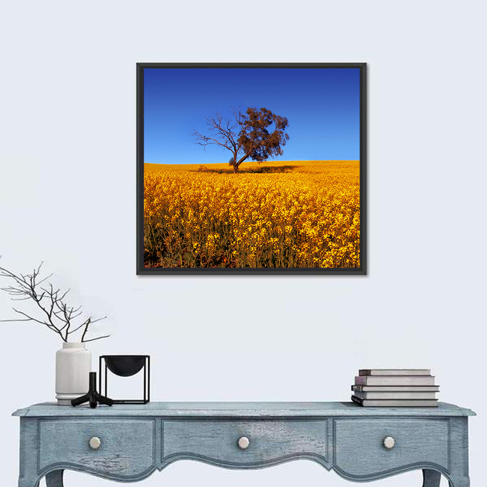 Canola Field with Lone Tree Wall Art in a room, square
