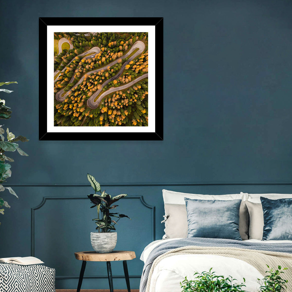 Aerial Curvy Forest Road Wall Art in a room, square