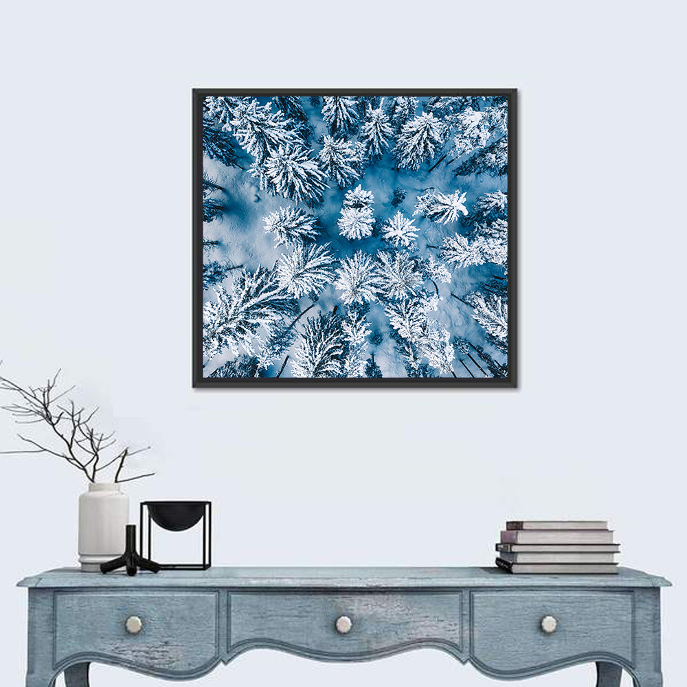 Aerial Snowy Forest Wall Art