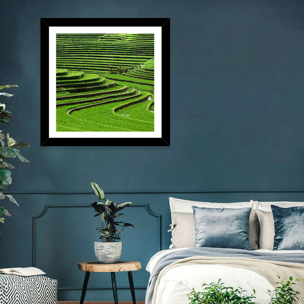 Lush Rice Terraces Wall Art