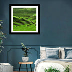 Lush Rice Terraces Wall Art