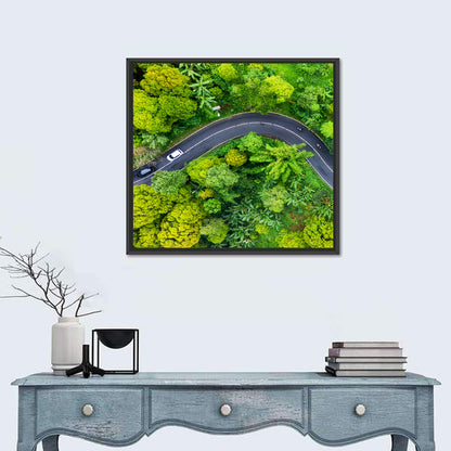 Summer Forest Road Aerial Wall Art