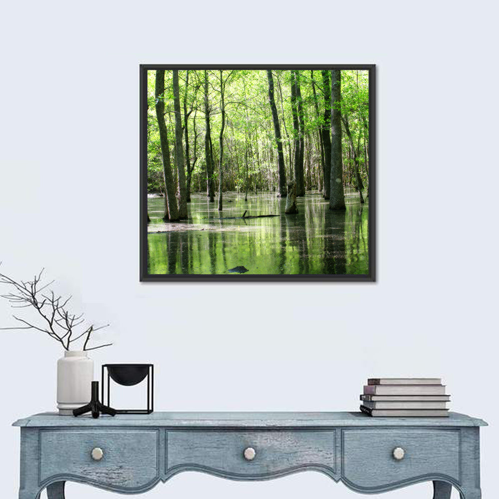 Sunlit Swamp Forest Wall Art in a room, square