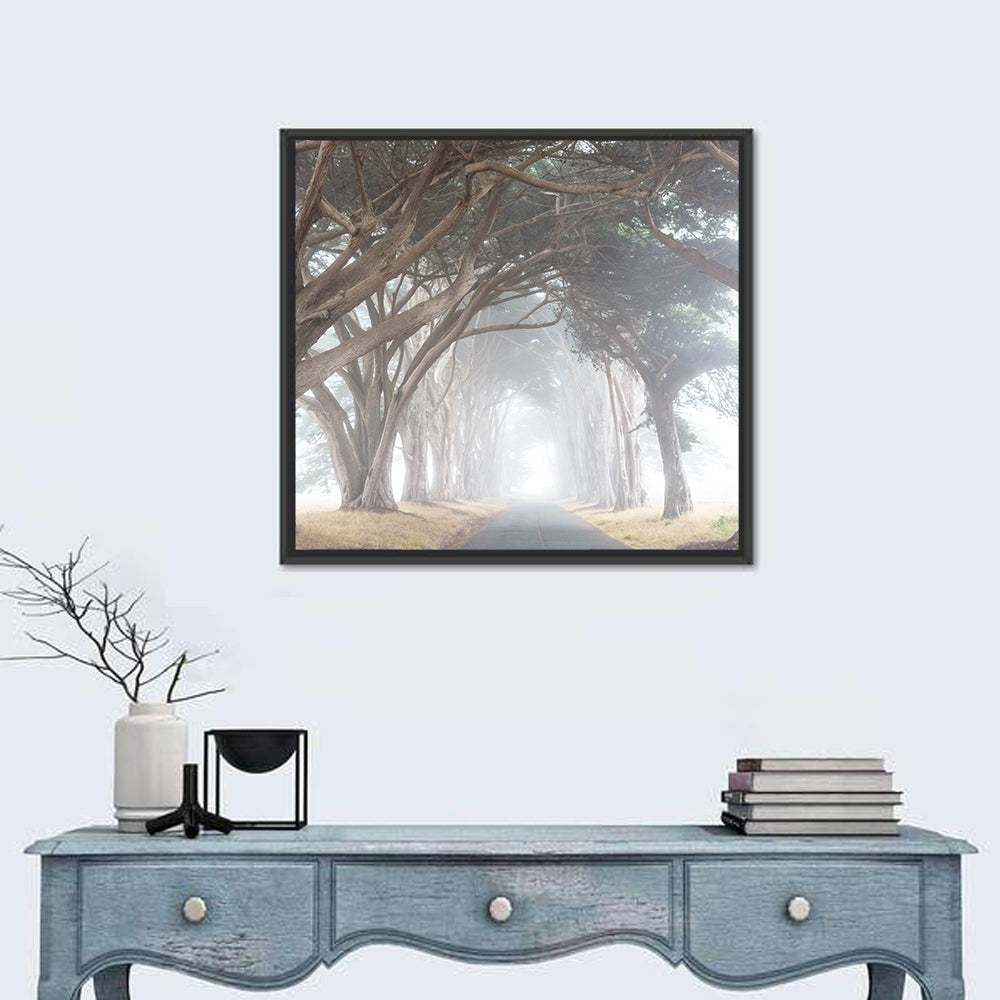 Misty Cypress Tunnel Wall Art in a room, square
