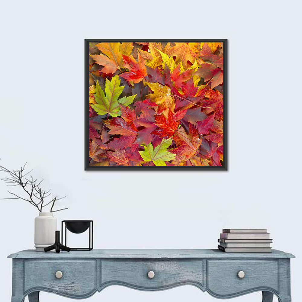 Autumn Maple Leaves Close-up Wall Art