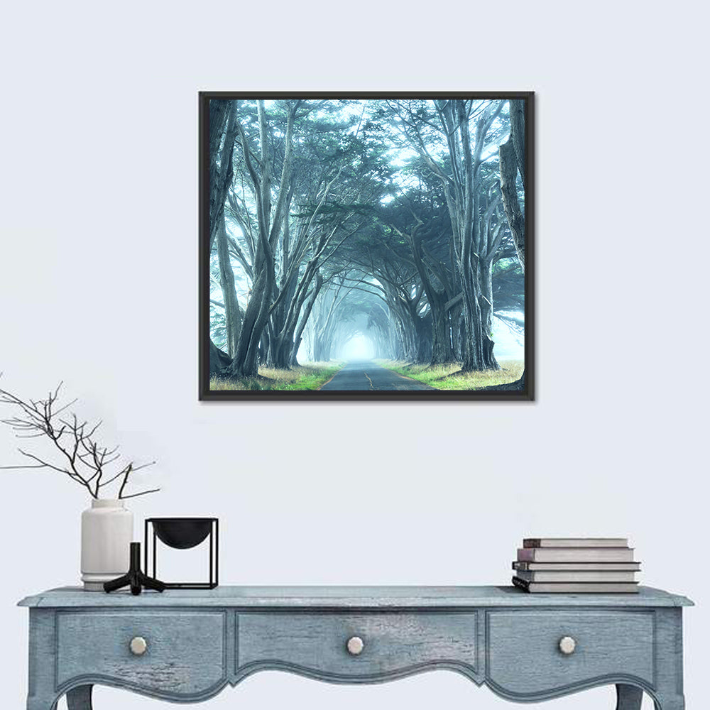 Foggy Cypress Tree Tunnel Wall Art in a room, square