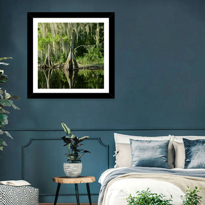 Bald Cypress in Swamp Wall Art