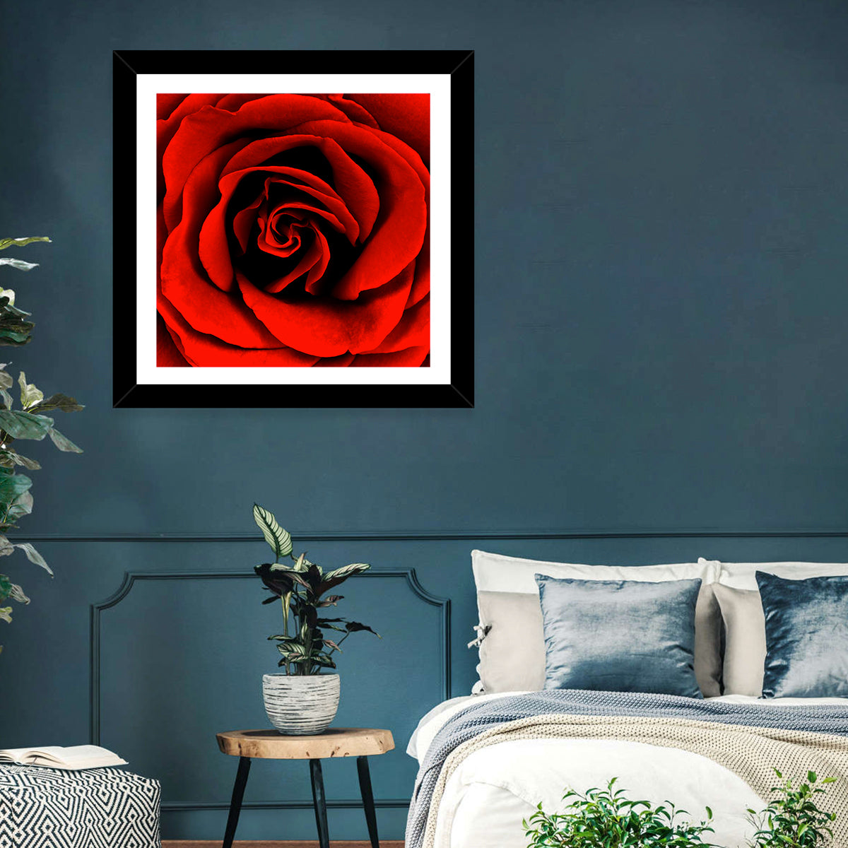 Velvety Red Rose Close-up Wall Art