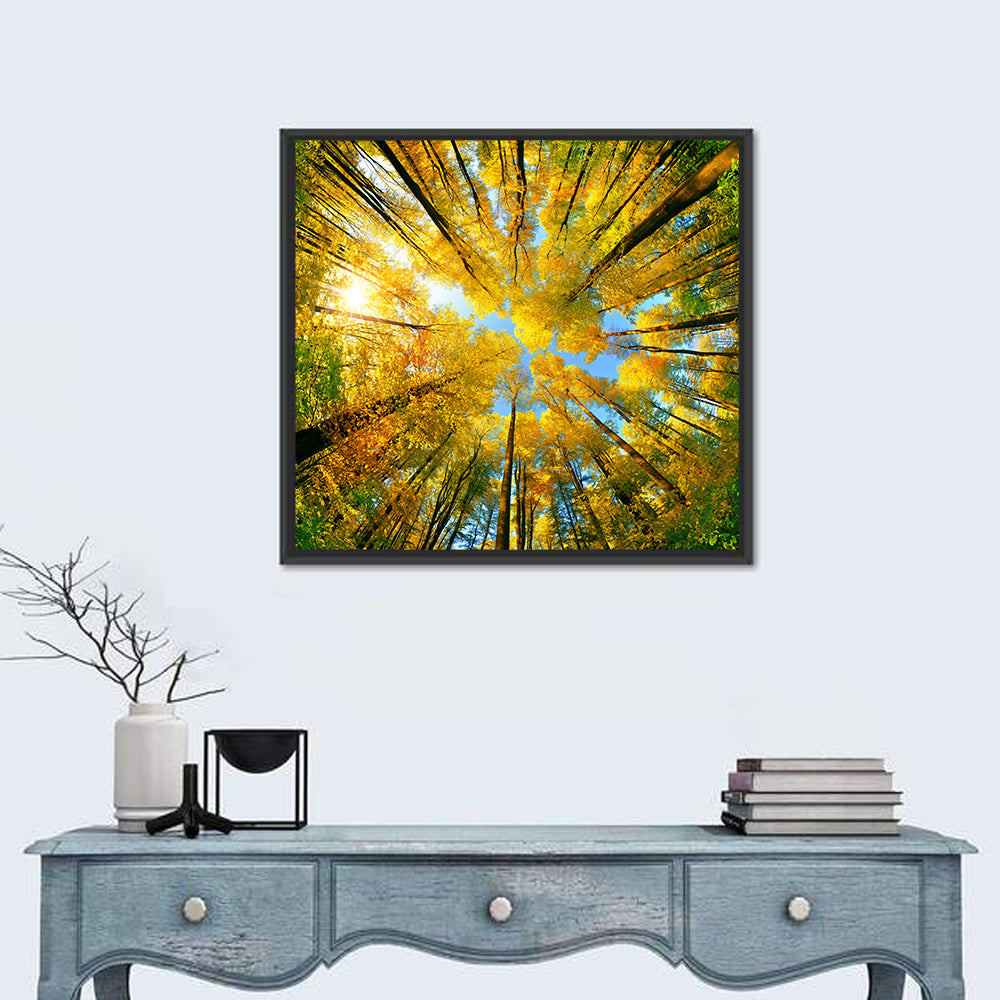 Golden Autumn Canopy Wall Art in a room, square