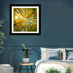 Golden Autumn Canopy Wall Art