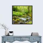 Mossy Stream Through Forest Wall Art