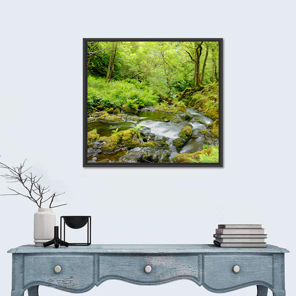 Forest Stream Wall Art