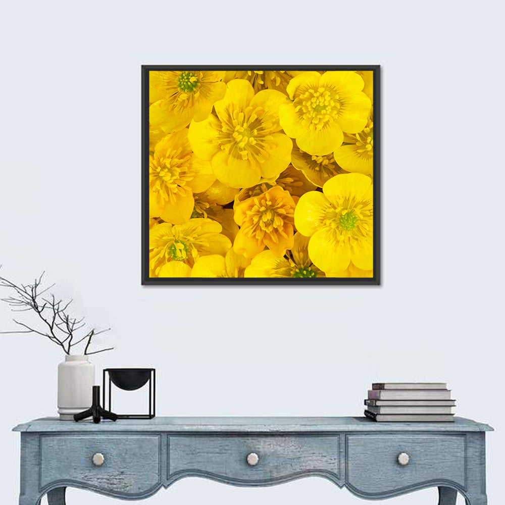 Yellow Buttercup Close-up Wall Art