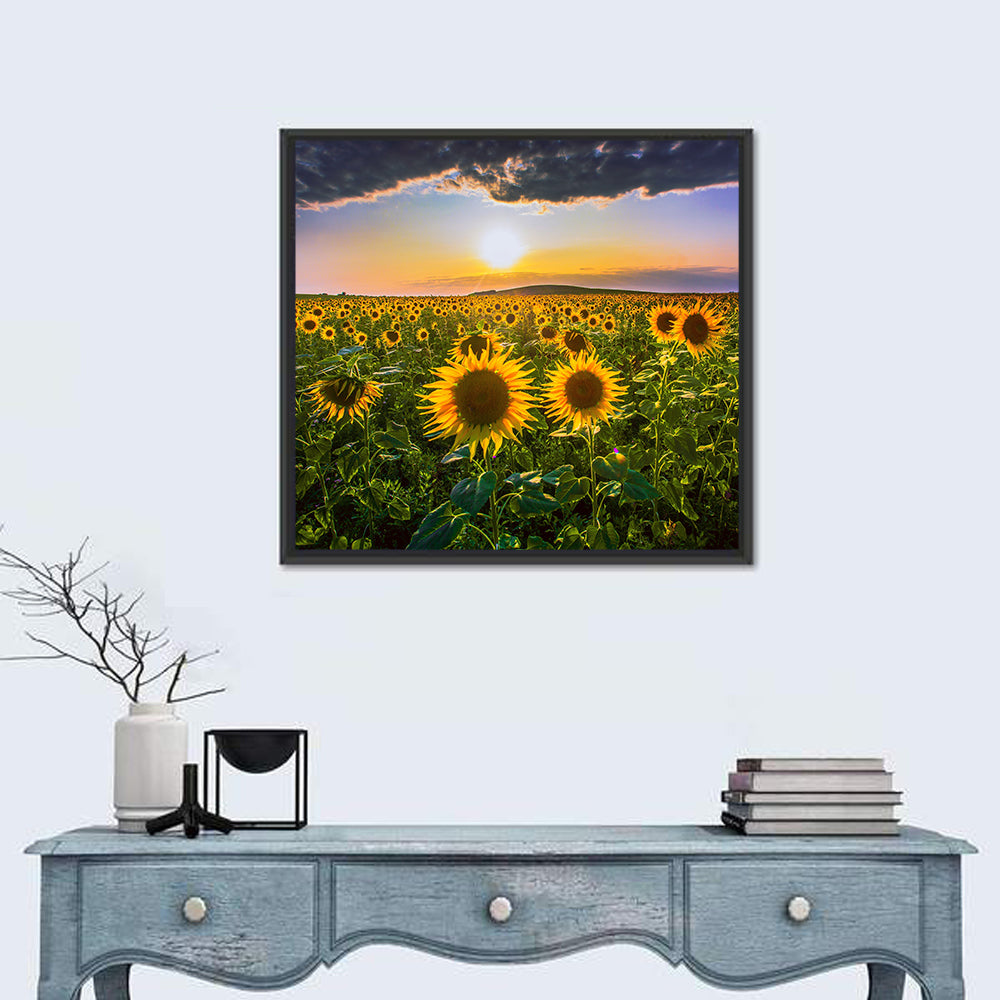 Sunflower Field at Golden Hour Wall Art in a room, square