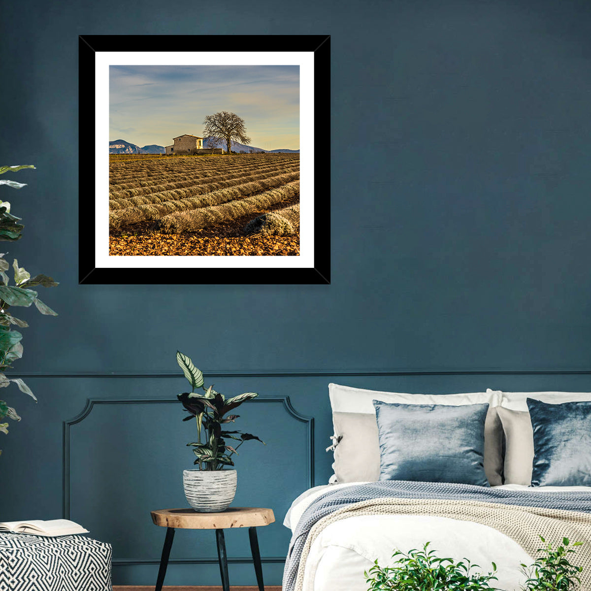 Rustic Provence Lavender Rows at Golden Hour Wall Art in a room, square