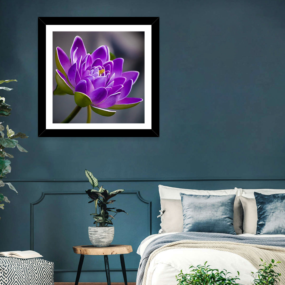 Purple Water Lily Close-up Wall Art in a room, square