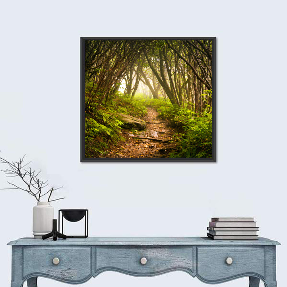 Craggy Gardens Hiking Trail Wall Art