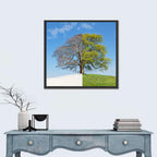 Split Season Tree Landscape Wall Art