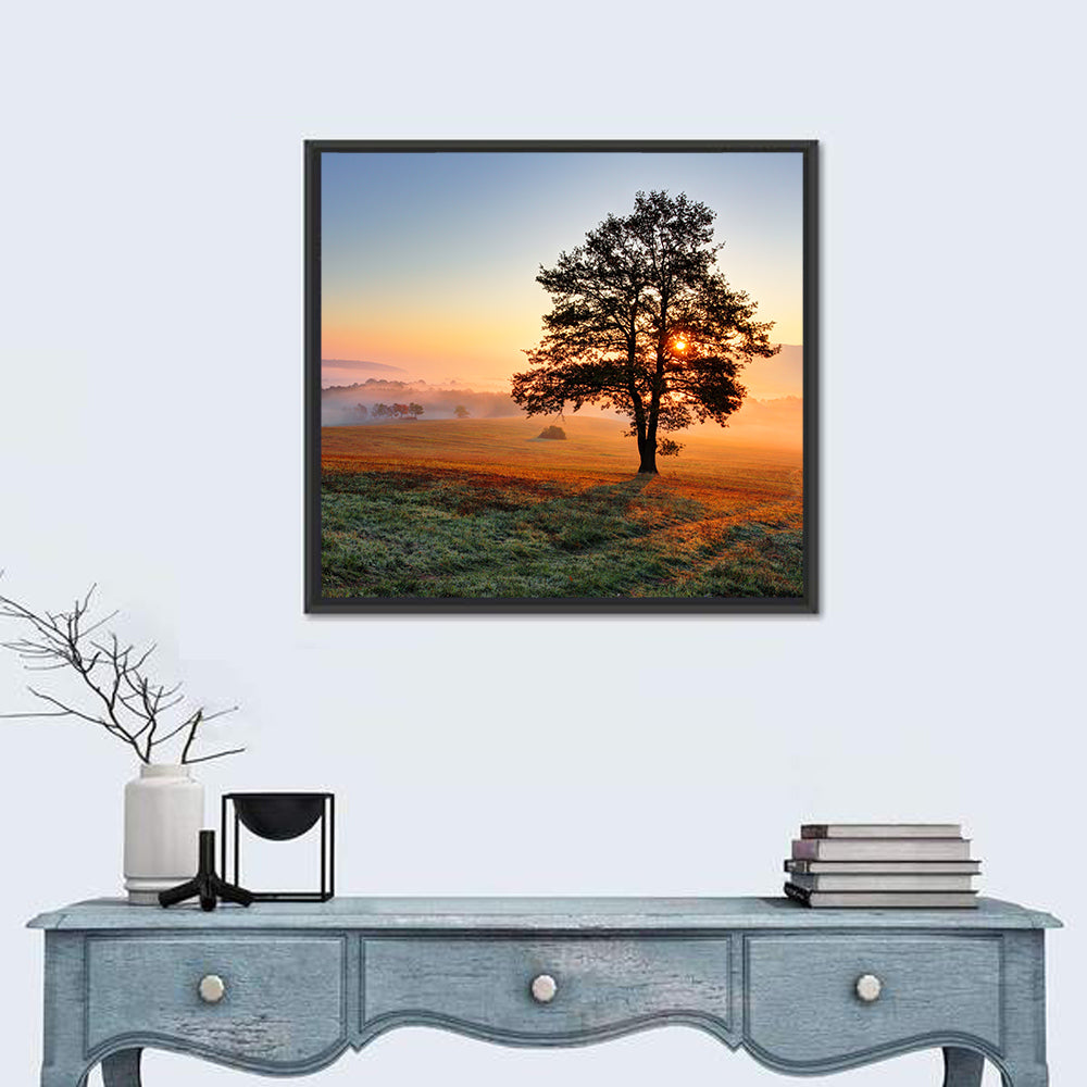 Misty Meadow Sunrise with Lone Tree Wall Art in a room, square