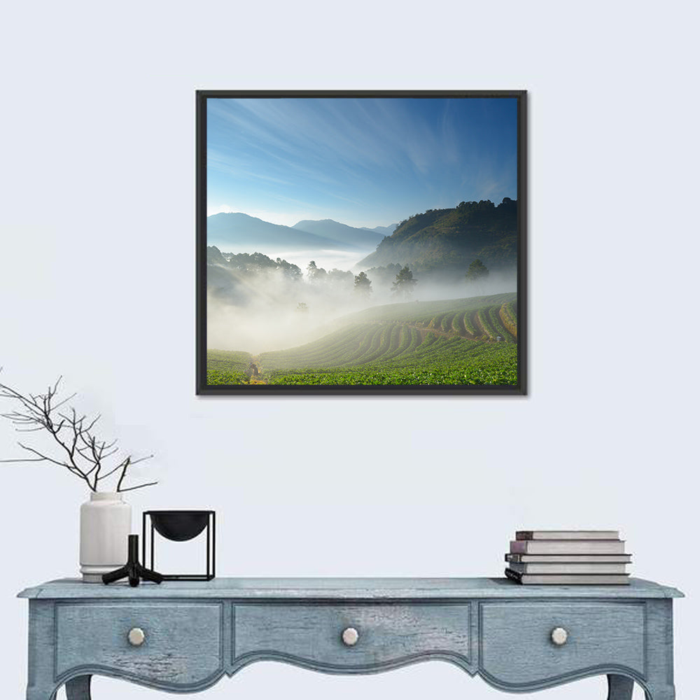 Sunlit Terraced Tea Hills Wall Art in a room, square