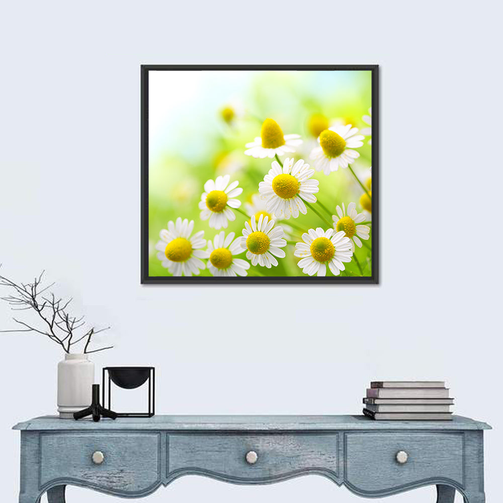 Chamomile Close-up Wall Art in a room, square