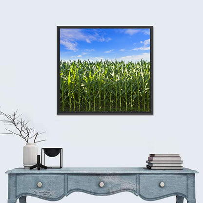 Green Corn Field Wall Art