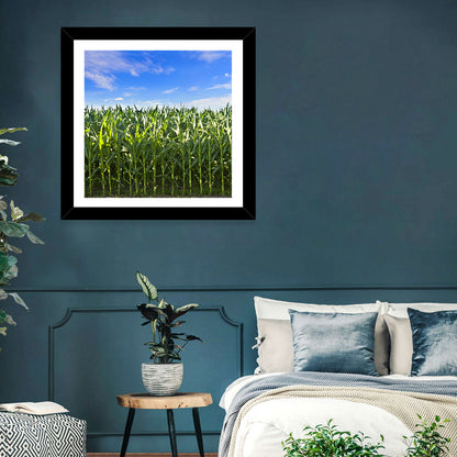 Green Corn Field Wall Art